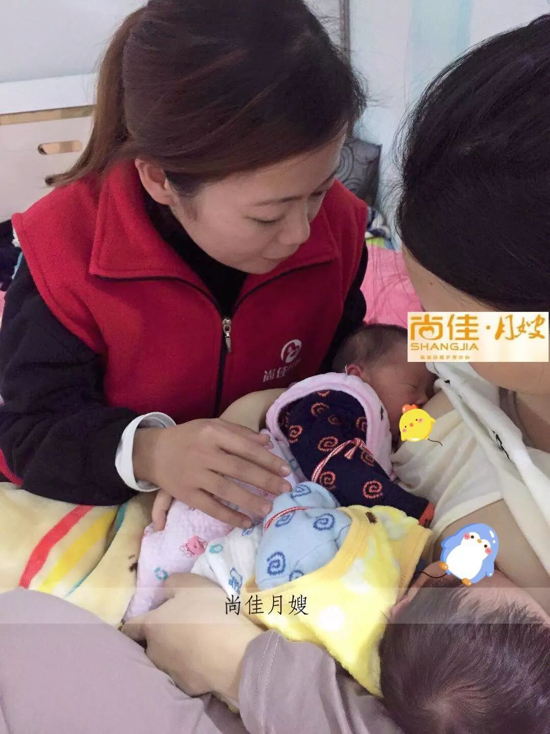 尚佳專業(yè)月嫂丨初生嬰兒需要吃多少？